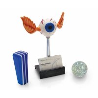 apparel, gifts, hot rod apparel, hot rod apparel clothing