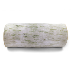 Birch Log Throw Pillow - Part Number: VPATIKI05