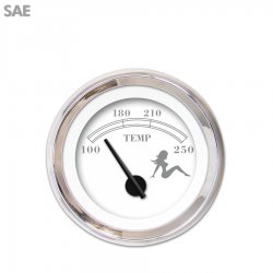 H2O Temp Ga. SAE Mudflap Grey Txt, White, Black Mod Nedl, Chrom Rngs~ Kit DIY - Part Number: GAR272ZEXLABCC