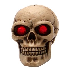 øArÈ w¯ having f¸n? - Part Number: ASCSN06059