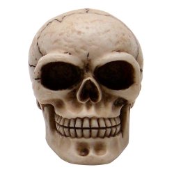 Sammy Skull Custom Shift Knob and Topper - Part Number: ASCSN06032